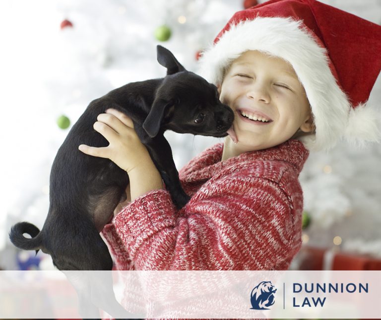 Celebrate the Holidays Safely With Furry Family Members
