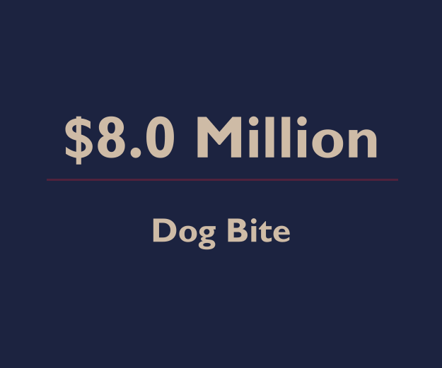 Dog viciously attacks two-year old girl resulting in the all-time national record for animal attack cases – $8,000,000