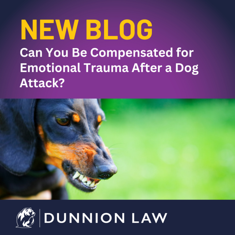 Can You Be Compensated for Emotional Trauma After a Dog Attack?